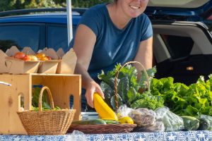 Farmer Market